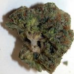Buy $100 OG marijuana strain in Australia, Buy Weed Online Australia