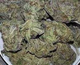Buy Weed Online Australia, Buy Blackberry Kush marijuana Online Australia