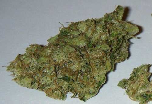 Buy Weed Online Australia, Buy Chemdawg marijuana Online Australia