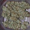 Buy Weed Online Australia, Buy Cinderella 99 marijuana Online Australia