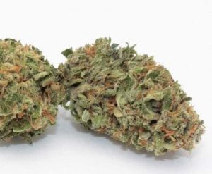 Buy Weed Online Australia, Buy Grapefruit at Australian Entirecannabis Online dispensary