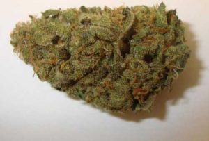 Buy Weed Online Australia, Buy Jack Herer marijuana Online Australia