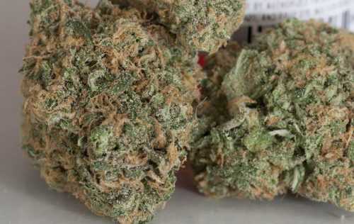 Buy Weed Online Australia, Buy Medicine Man marijuana Online Australia