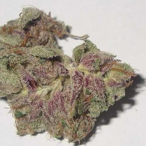Buy Weed Online Australia, Buy Purple Kush marijuana Online Australia