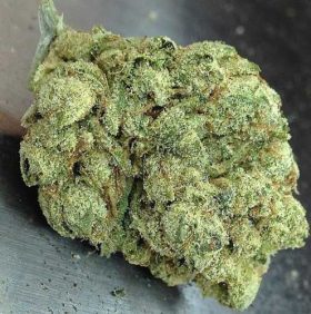 Buy Weed Online Australia, Buy Skywalker OG marijuana Online Australia