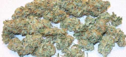 Buy Weed Online Australia, Buy Super Lemon Haze marijuana Online Australia