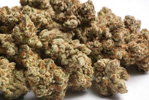 Buy Weed Online Australia, Buy Tahoe OG Kush marijuana Online Australia