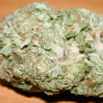 Buy Weed Online Australia, Buy White Rhino marijuana Online Australia