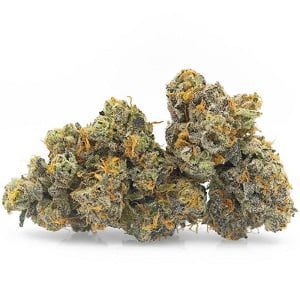Buy Cannabis Hybrid Online Australia