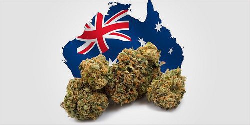 Buy Weed Online South Australia