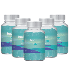 Blue Dream Berry Delta-8 THC Gummies, 5 packs | Buy Edibles Online
